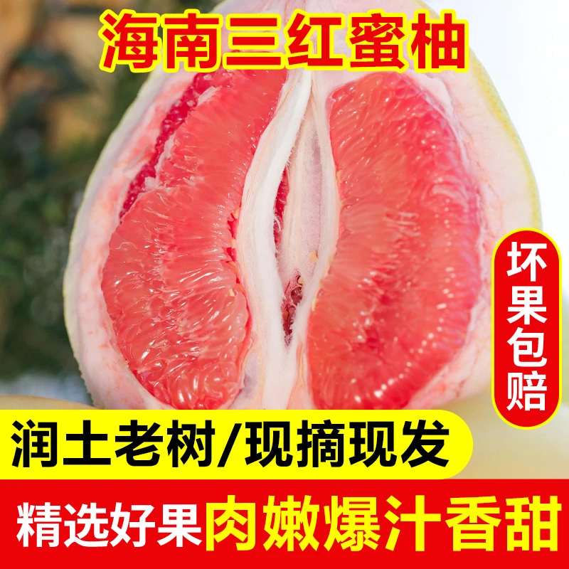 【三红蜜柚】海南三红柚老树三红蜜柚酸甜可口1.5-8.5斤