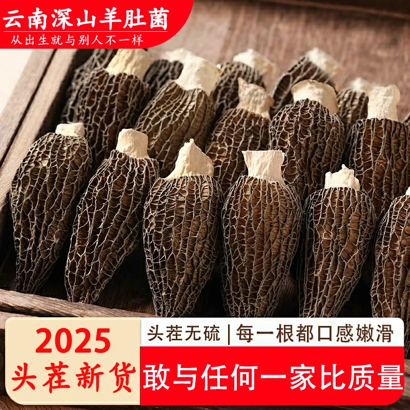 头茬羊肚菌云南高山种植特产干货 100克-500克煲汤食材炖汤肉厚