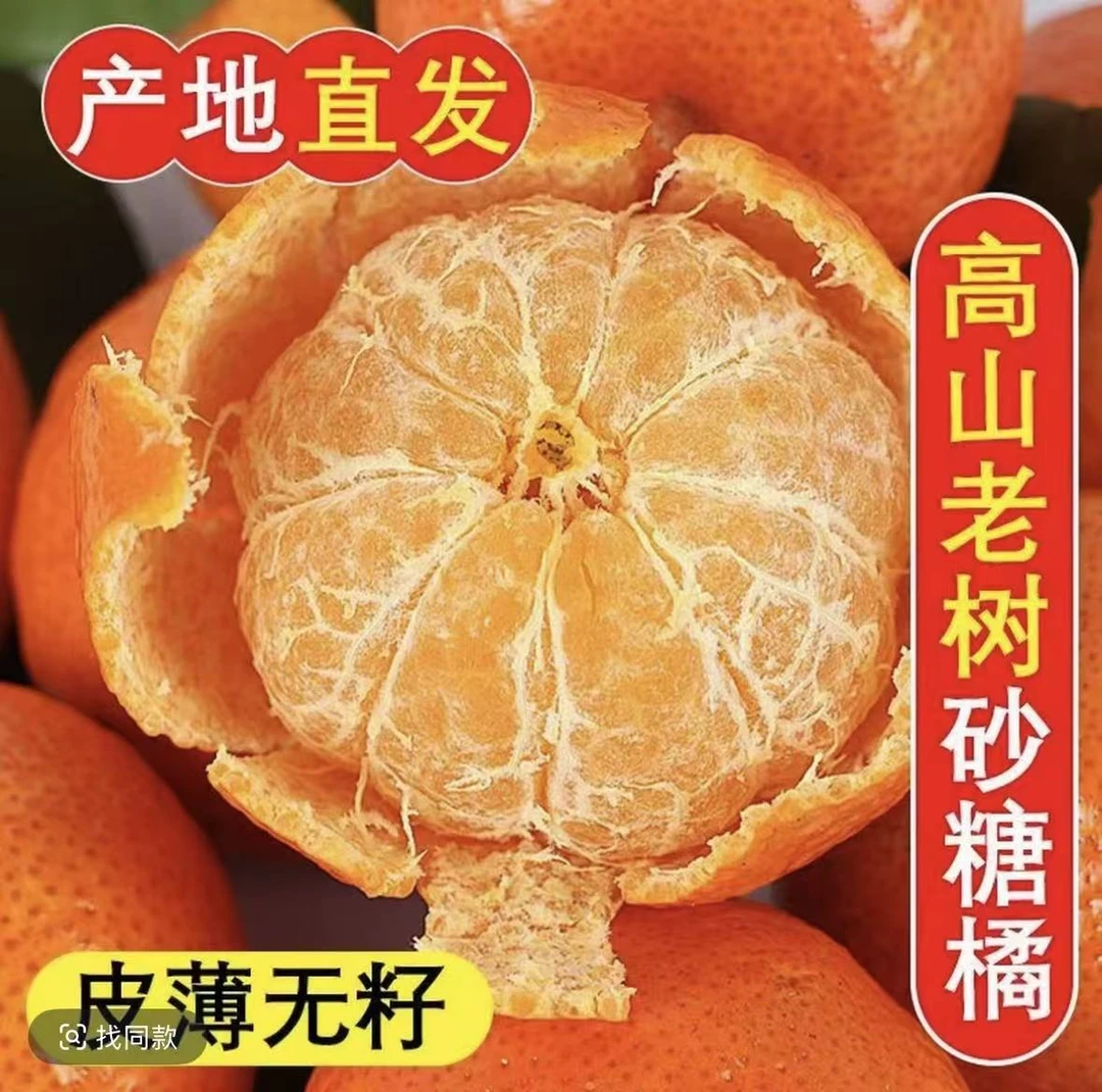 XY新鲜采摘五斤装金秋砂糖橘自家果园产皮薄多汁 水多新鲜