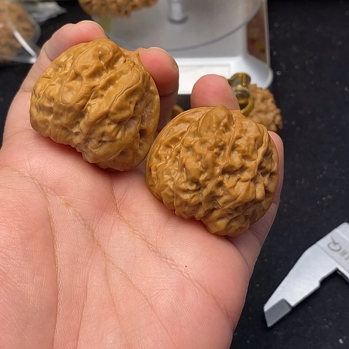 龙脊菩提吊坠蛤蟆头