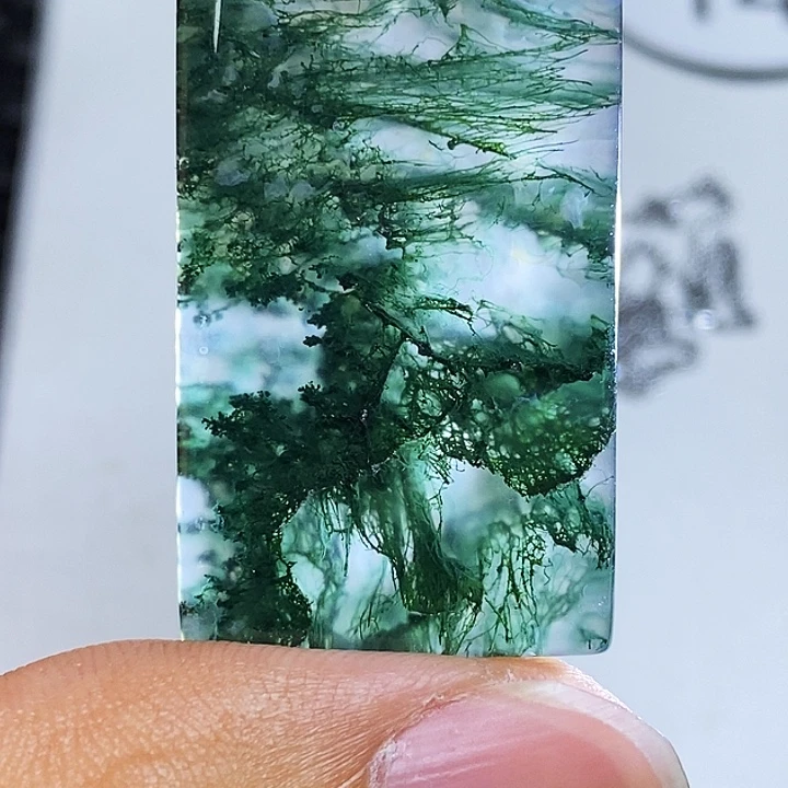艺***贝玛瑙/玉髓颈饰未镶嵌