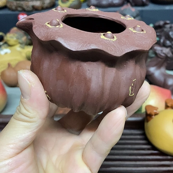 紫砂紫砂紫砂紫砂紫砂紫砂