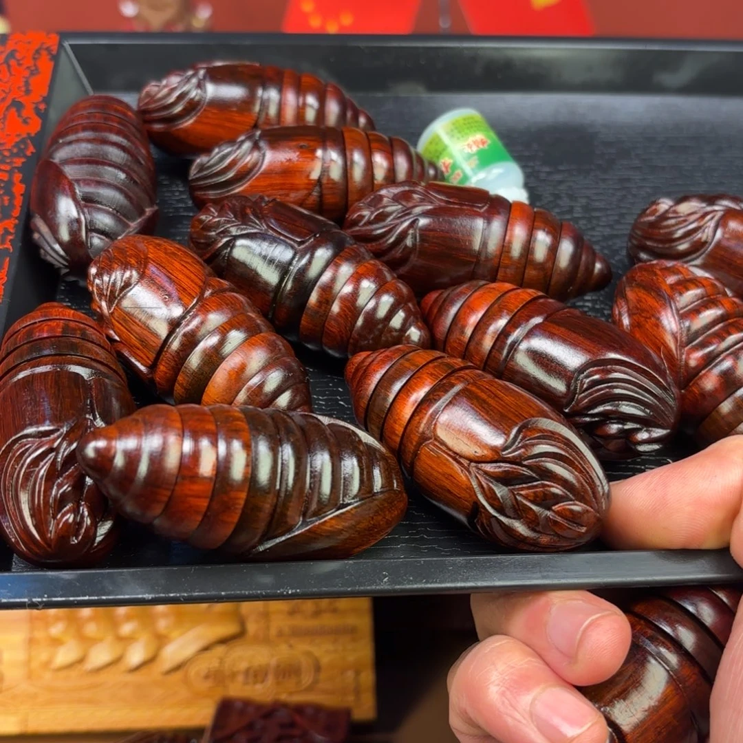 檀香紫檀（小叶紫檀）蛹