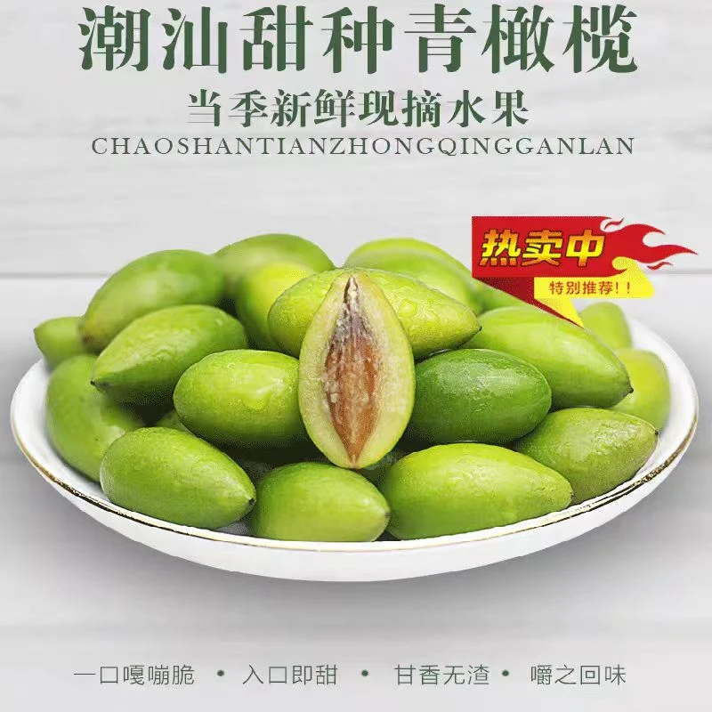 新鲜潮汕金灶水果甜种青橄榄生吃酥脆无渣回甘2号青果孕妇二号榄
