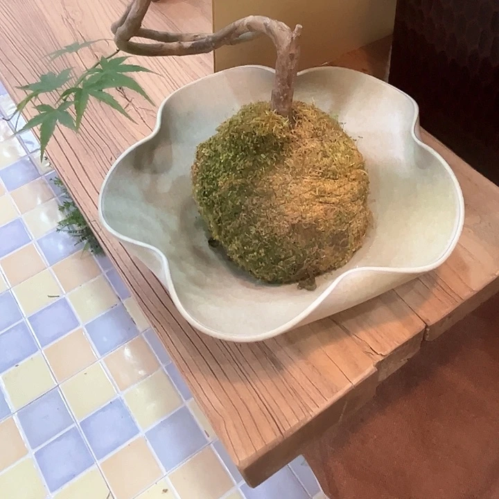 缘**深呃呃呃呃呃呃呃呃呃呃