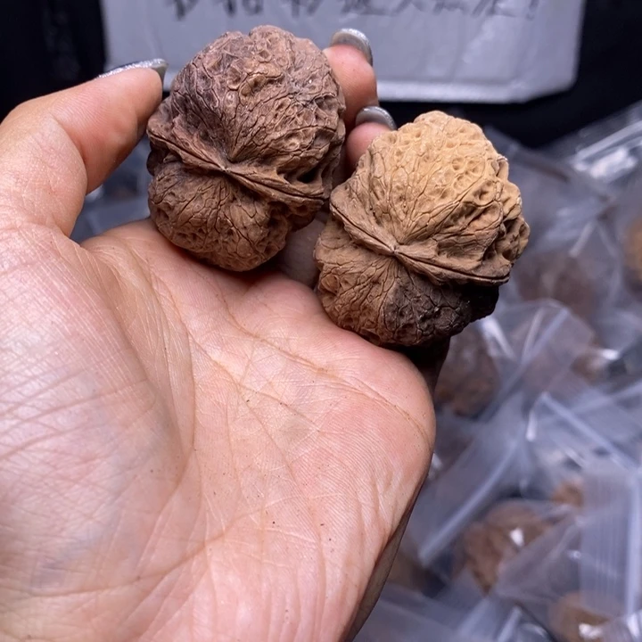 核桃云南野生铁核桃175号45mm