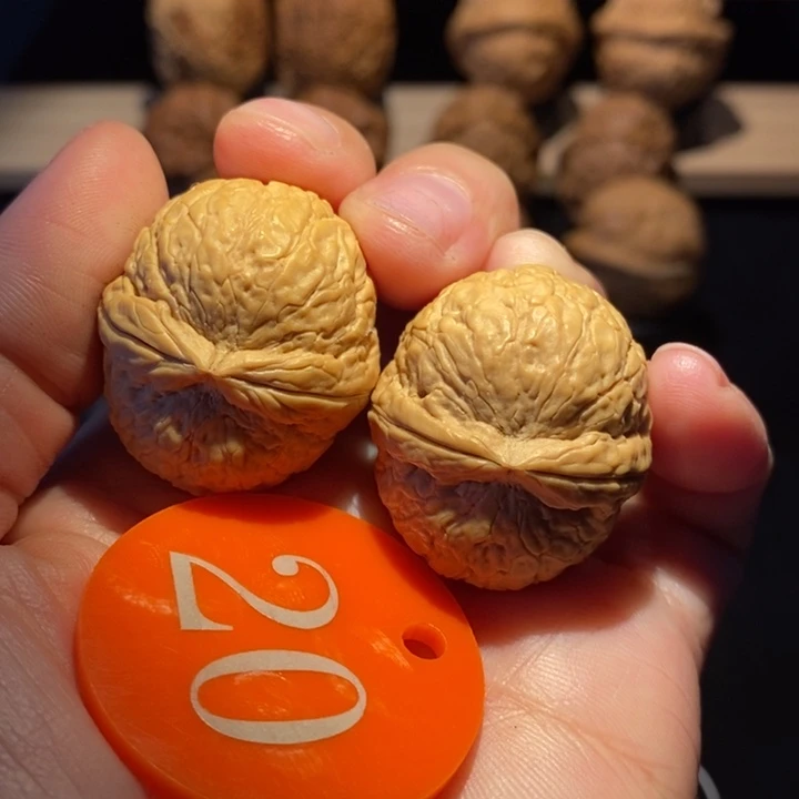 核桃帝王小元宝3.1核桃