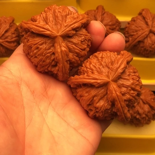 抽***茄核桃核桃核桃核桃核桃