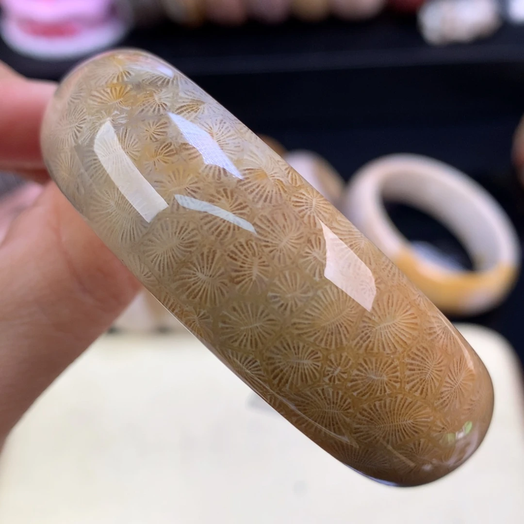 硅化珊瑚（珊瑚玉）未镶嵌颈饰五折蒲公英虫55.9（28号）