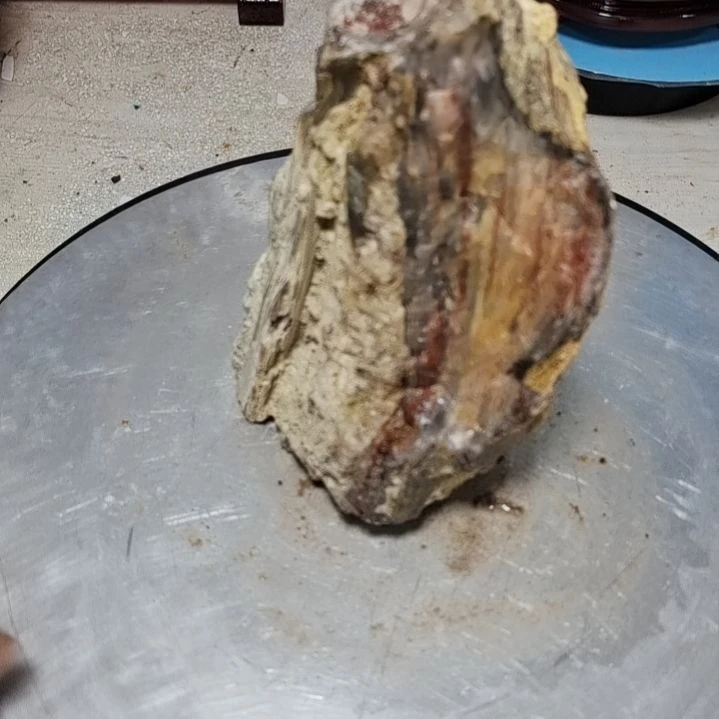 业***镜石材新疆奇台硅化木 木化石，树化石，树化玉。
