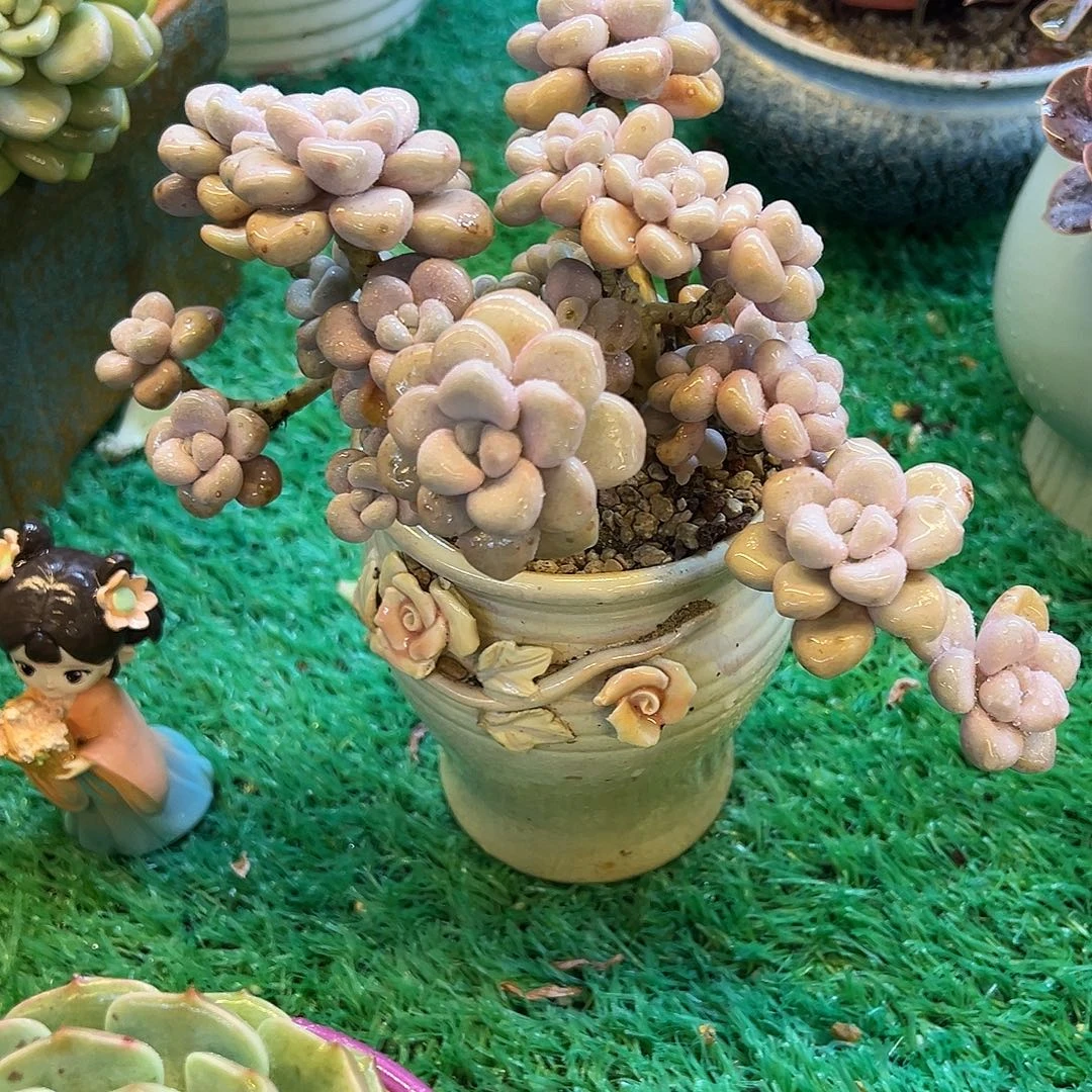 8，，，，，，，，，，，，，，，，，