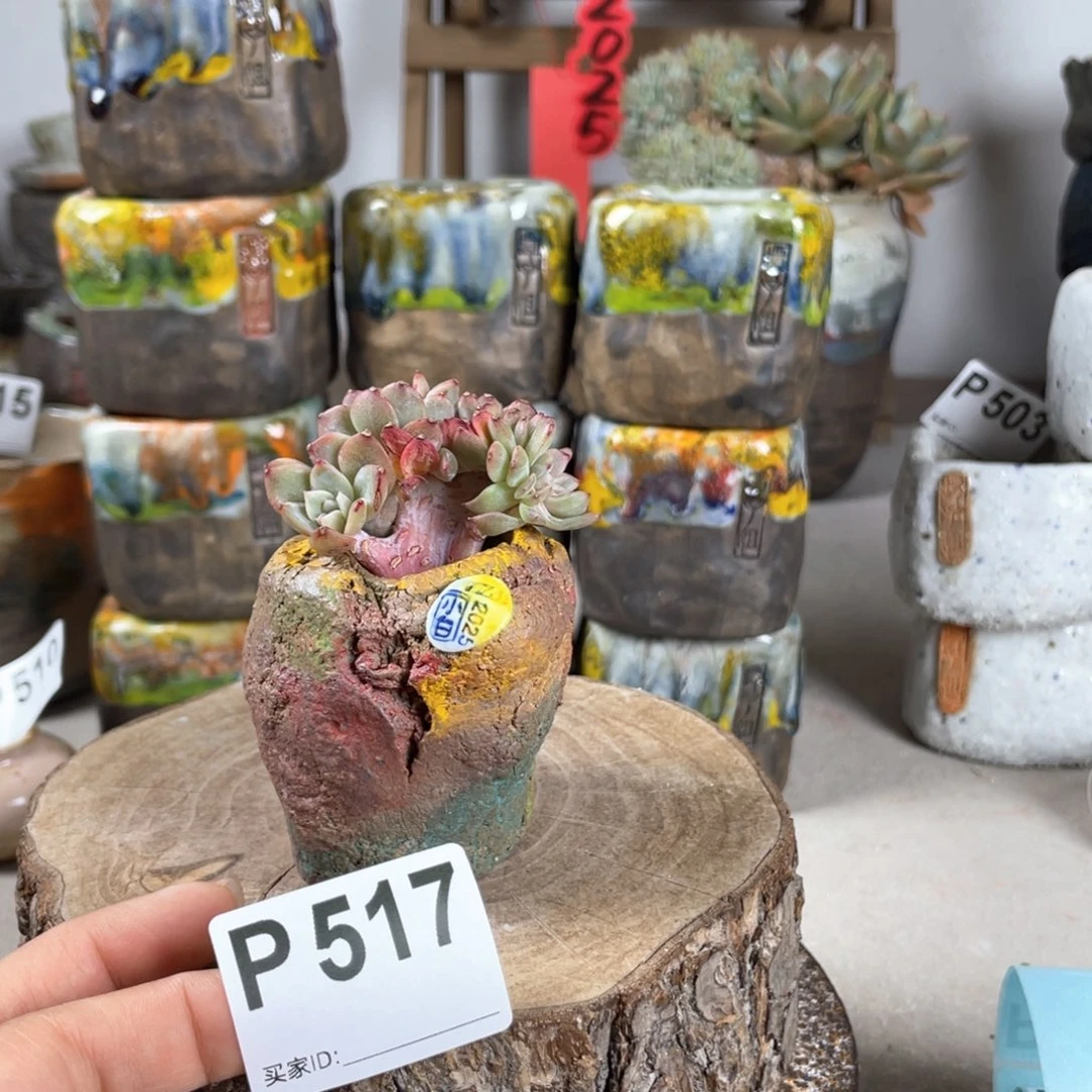 紫砂花盆微次小白孤品 内口3 不含肉