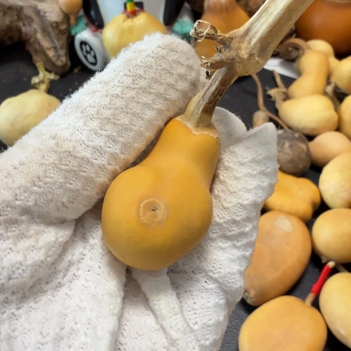 小***牛6666666777777788@iiioool