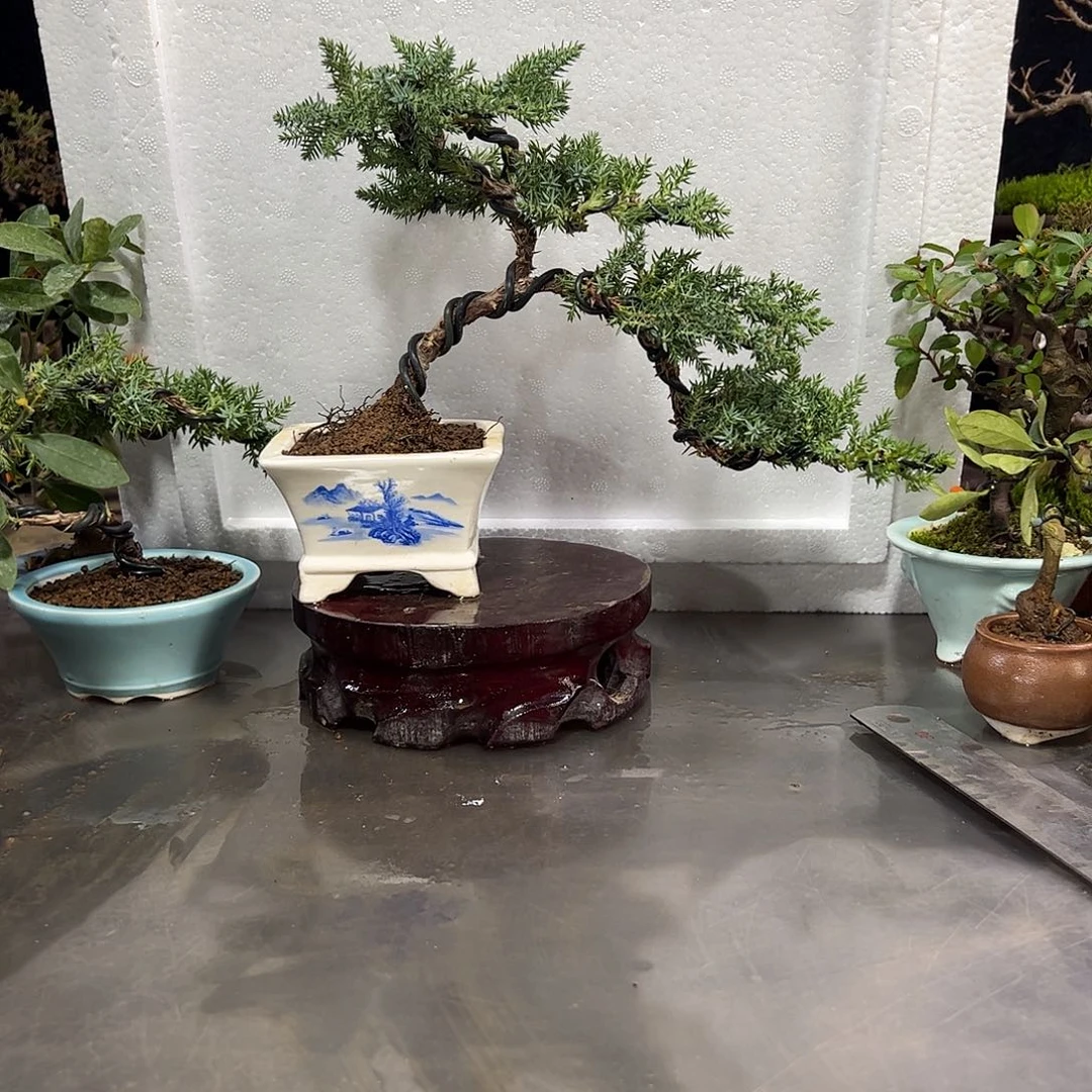 小***伴发发发发发发发发发发