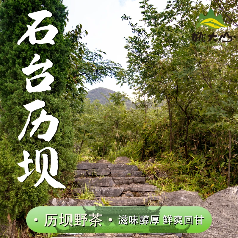 【茶农根据地】历坝野茶（揉） 100g 绿茶 茶叶