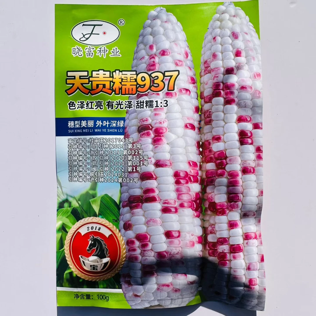 超甜糯玉米种子高产包邮四季香甜糯玉米种子大田彩甜糯2018宝马