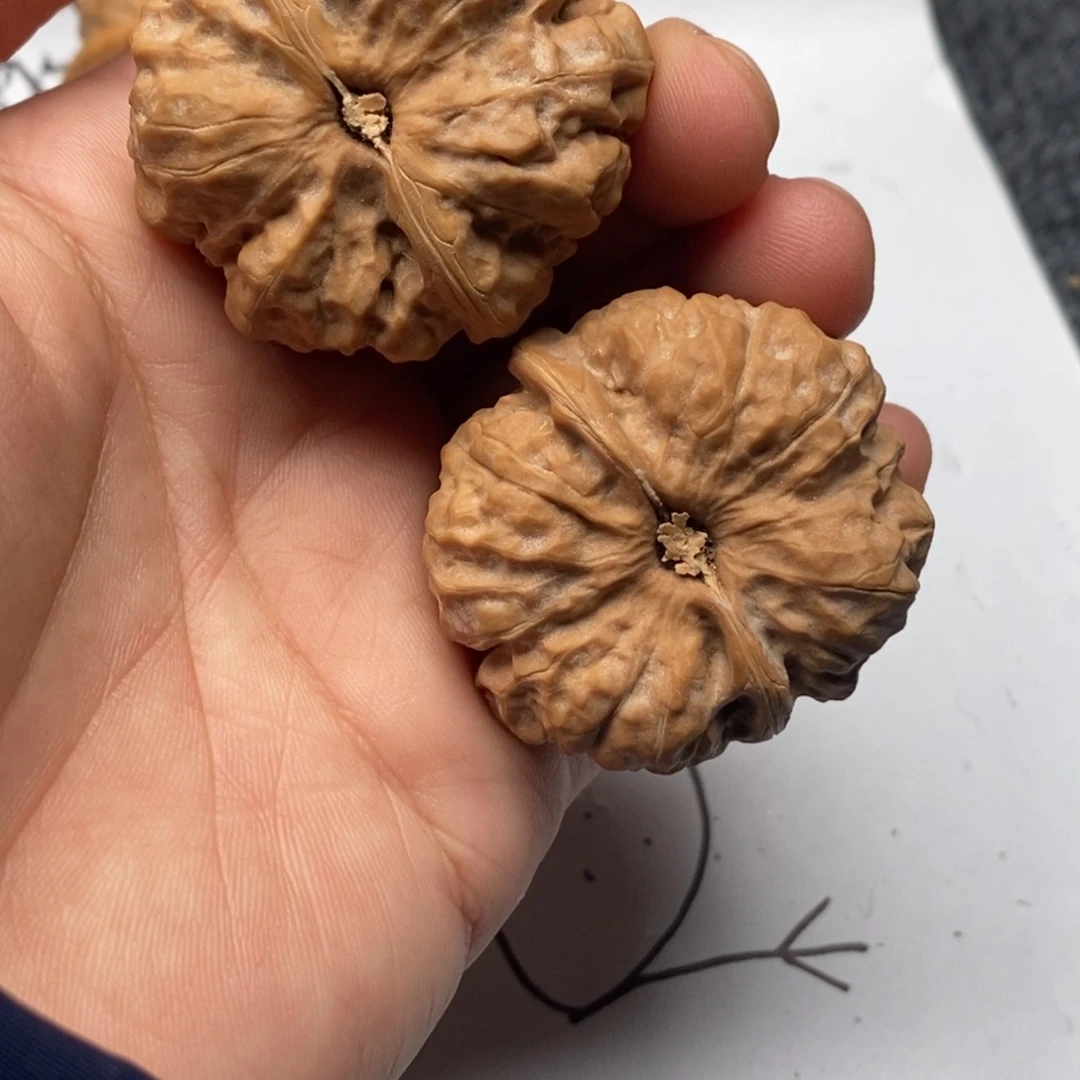 蜗***儿好的我真的是太喜欢了