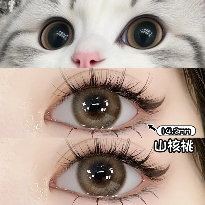 OVOLOOK亚裔混血妆棕色美瞳小直径半年抛女学生隐形眼镜山核桃S1