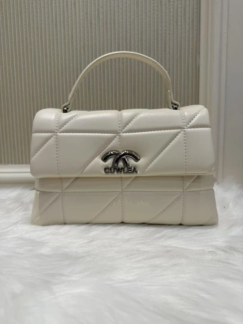 新款时尚轻奢气质百搭女士小众质感手提包