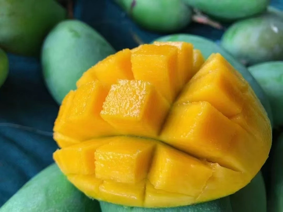 百色金煌芒软糯香甜多汁皮薄肉厚当季新鲜芒果