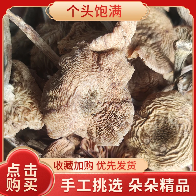 2025年东北榛蘑东北小鸡炖蘑菇手选精选干货无根无根无熏东北特产