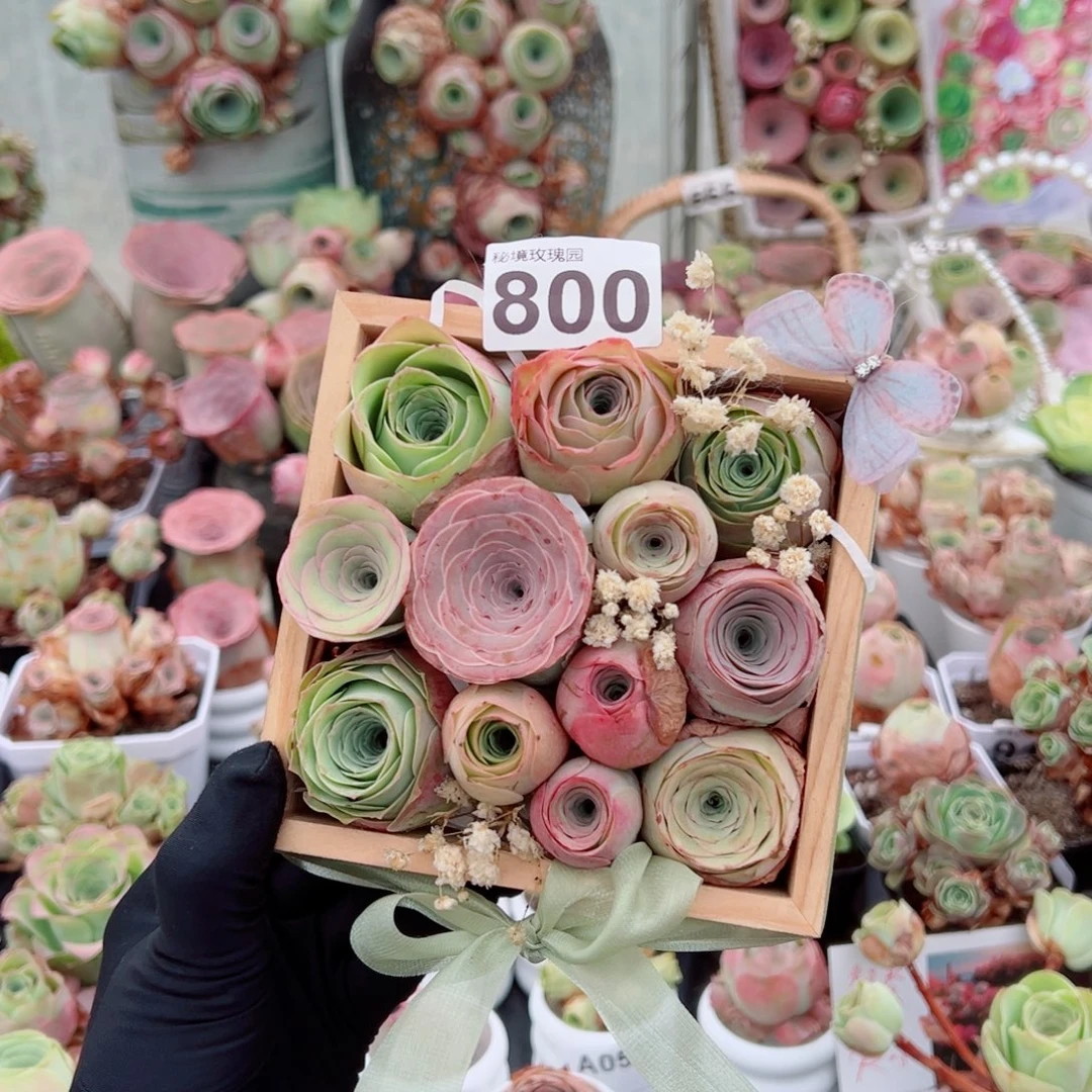800春日来信精品玫瑰小花盒。  一物一拍