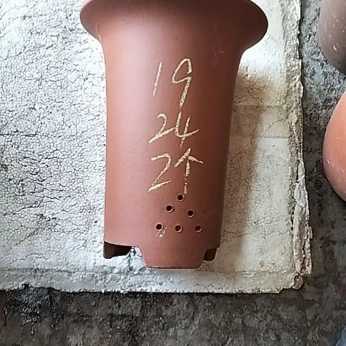 大红兰花两个花盆