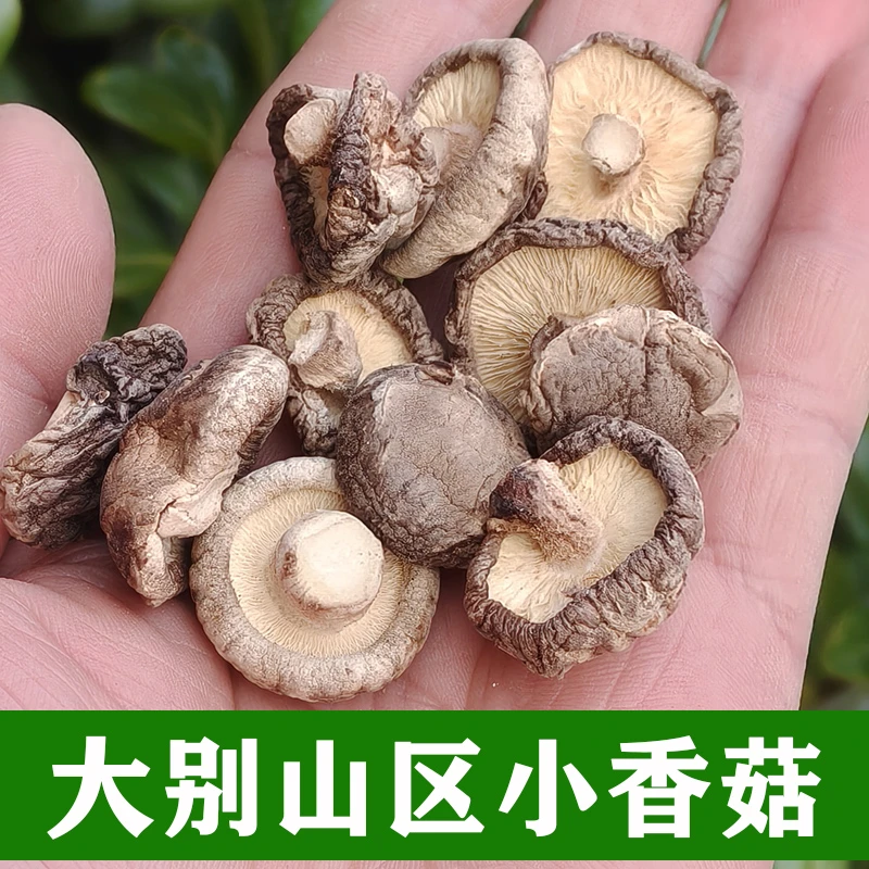 大别山特产小香菇干货