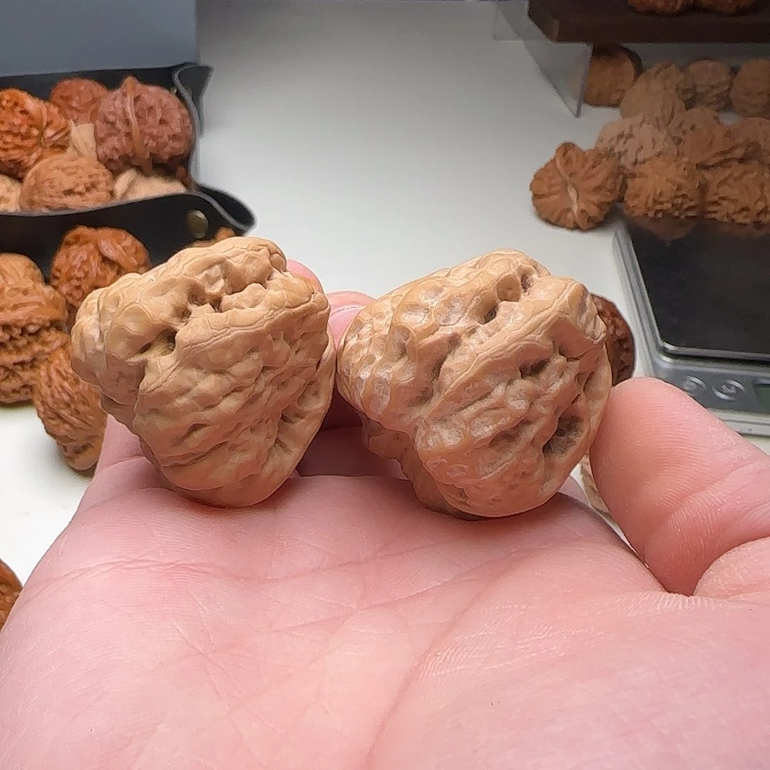 S7号大开背怀柔肌肉蛙37-41-35