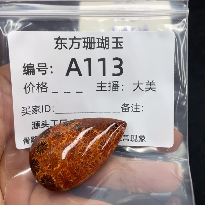 R***X硅化珊瑚（珊瑚玉）合金颈饰