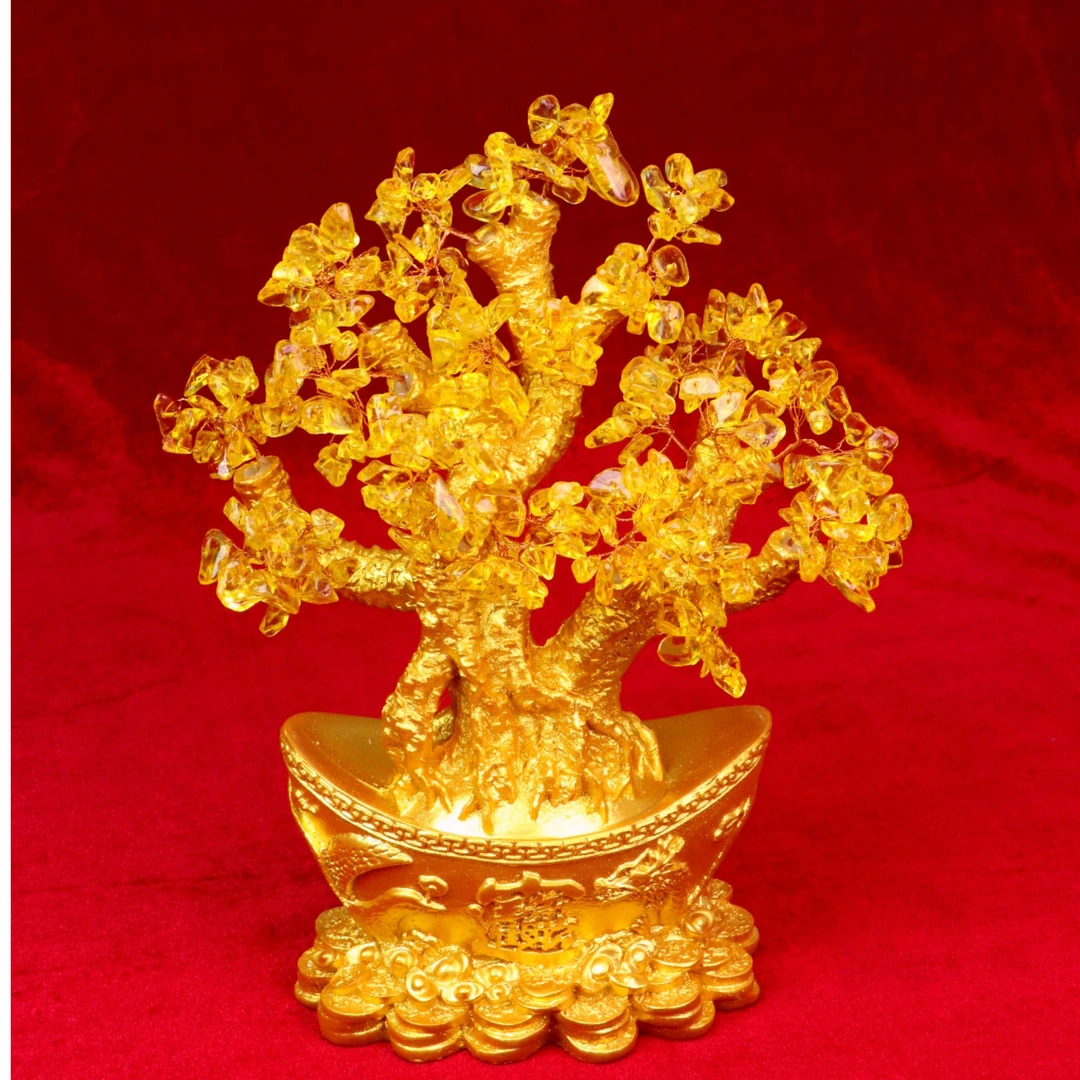 招财树 招财 聚财 摆不对位置等于 零【送盛德师傅一对一指导摆放】