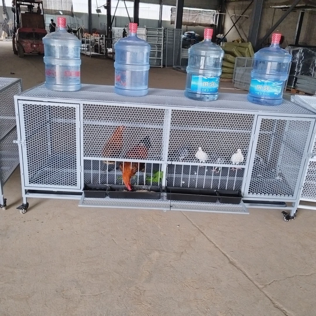 定制养殖笼鸡笼鸽笼户外养殖防黄鼠狼防老鼠加密孔防腐防锈加密