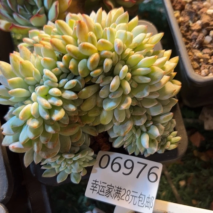 幸运的是我还没遇到