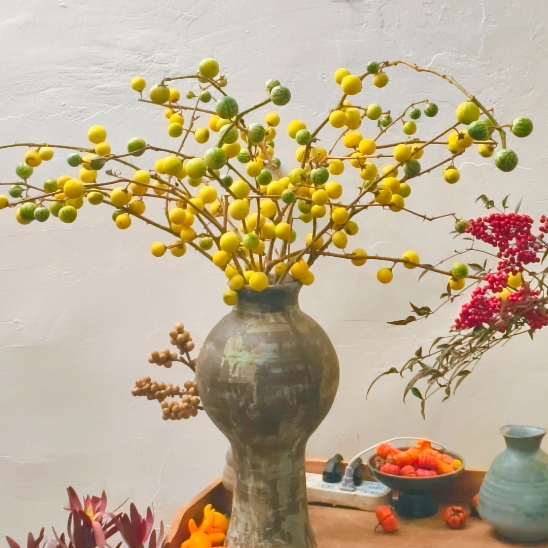 可爱小西瓜日常家居摆件 做干花