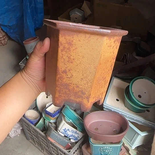 这几句真的笑疯笑拉哈了吧啊