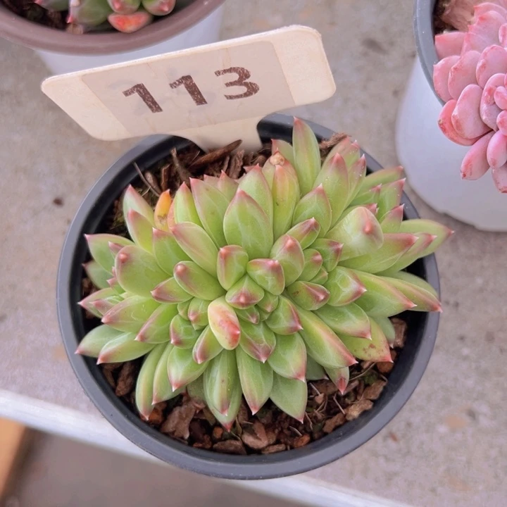 健健康康平平安安