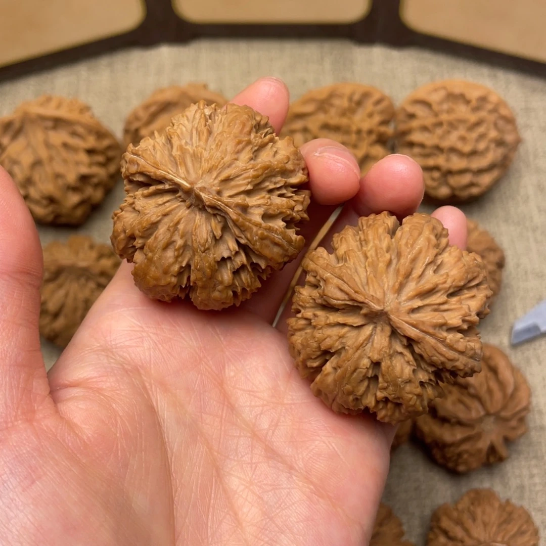 w***-核桃秦岭核桃18号