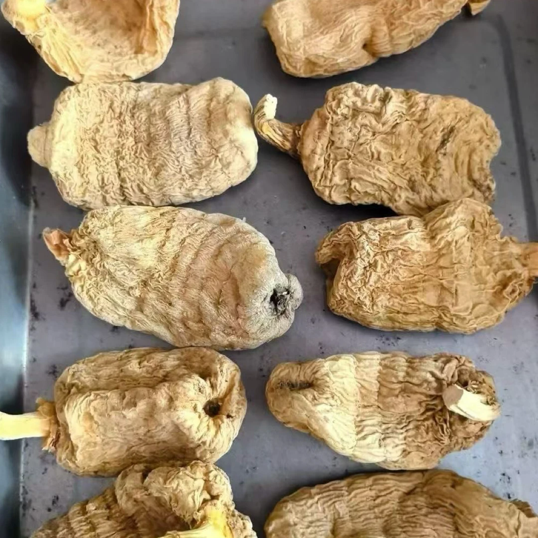 神农架自然生长天麻【笋农家自然生长天麻】笋明霞代卖农户产品