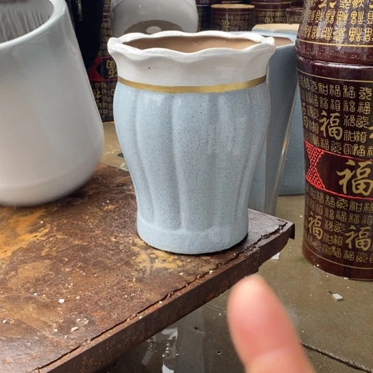 花口蓝南瓜中口25高32