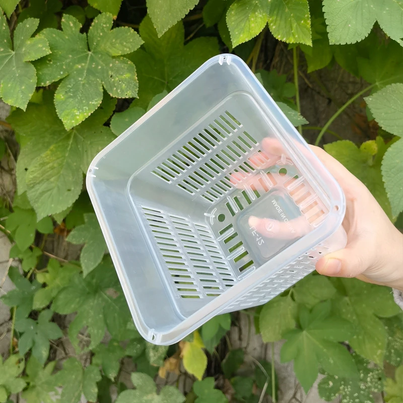 定植清仓蓝控根兰花盆栽正方形塑料花盆观根盆定植清仓篮水培盆