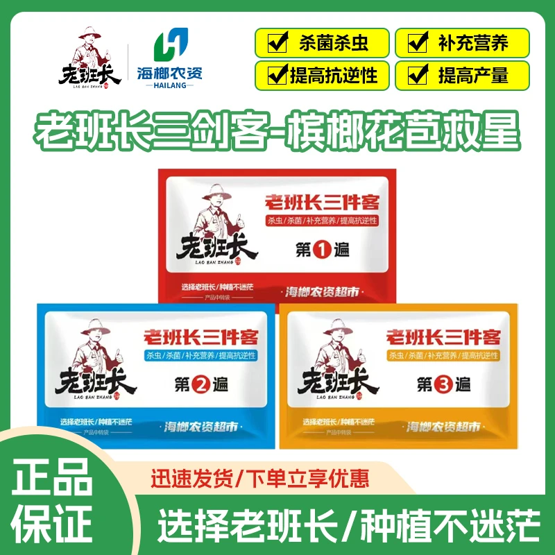 老班长三剑客（槟榔花苞得力助手）