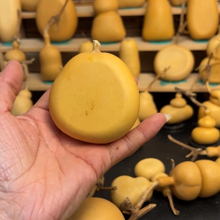 ?*?葫芦葫芦葫芦葫芦葫芦