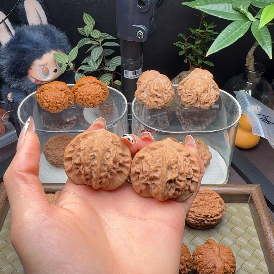 把件龙脊菩提全品图图42