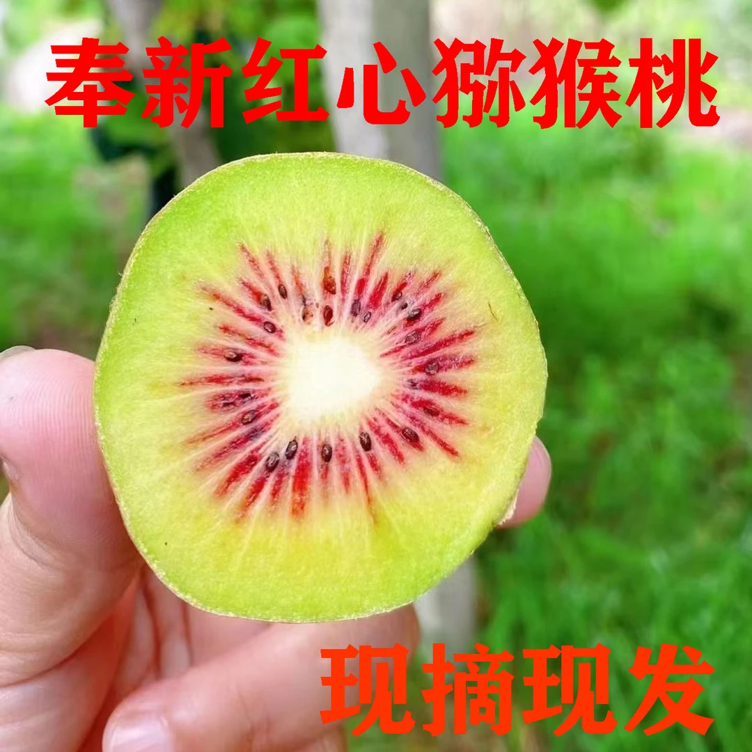 芳芳农家缘江西奉新红心猕猴桃新鲜水果奇异果当季孕妇整箱6-30个