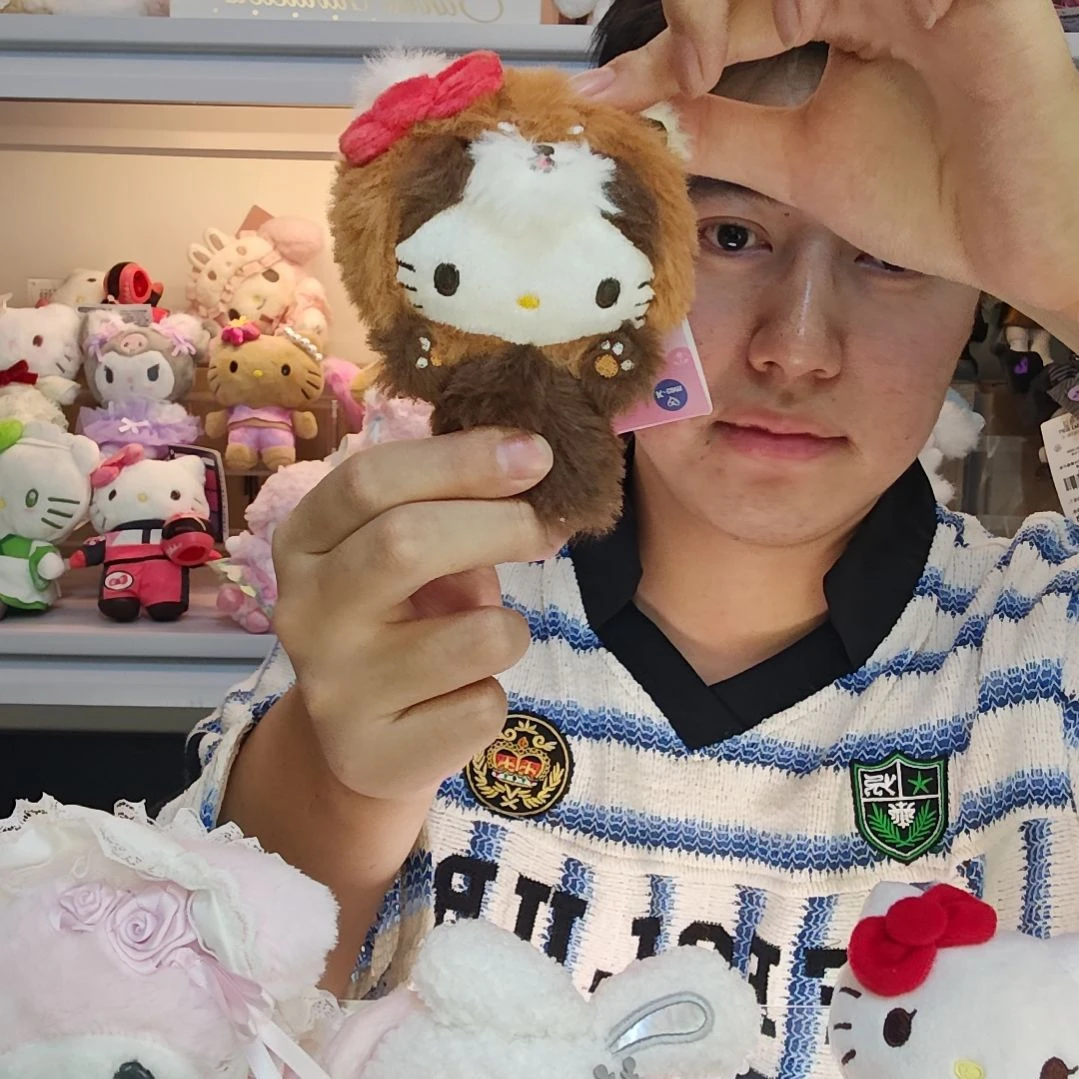 小动物系列小浣熊挂件