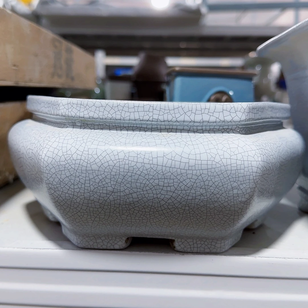 陶瓷花盆特价上新