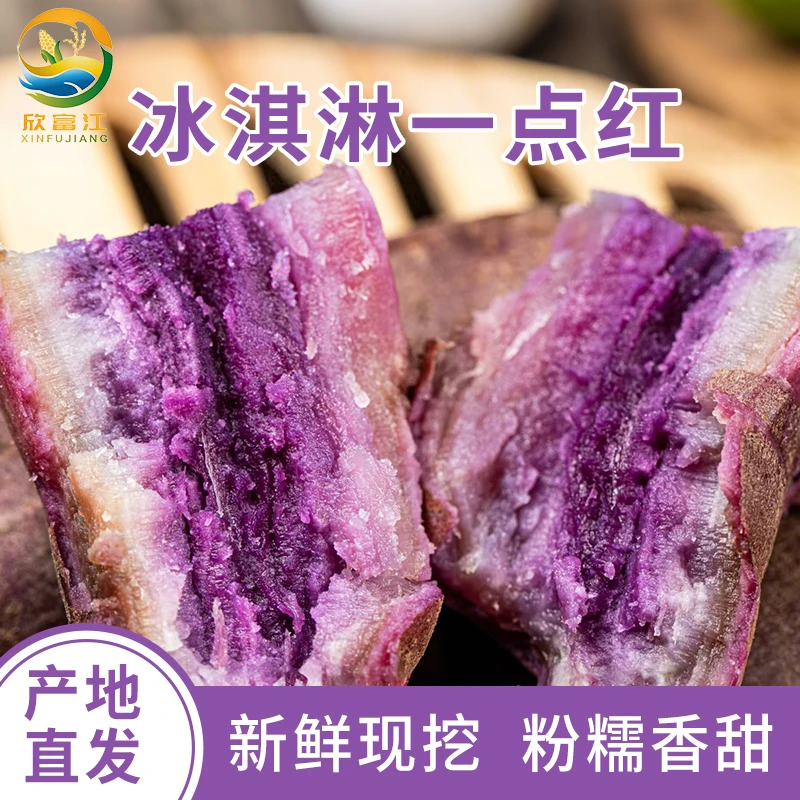 广西新鲜番薯现挖正宗冰淇淋红薯一点红番薯沙地种植粉糯香甜
