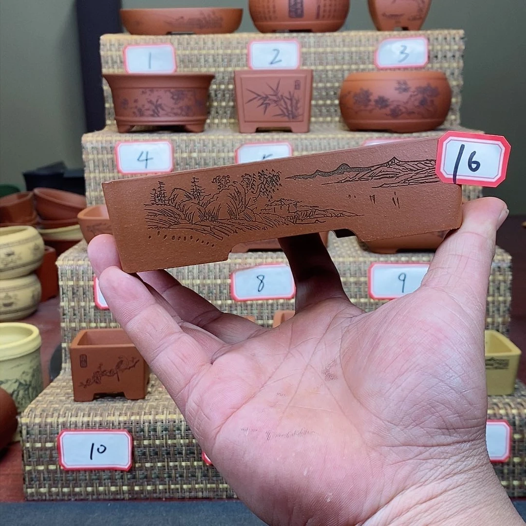 紫砂花盆我在等他