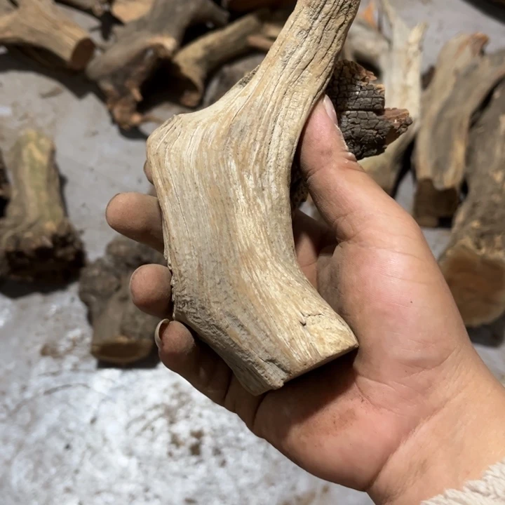 小***哥柏木我也不知道怎么办