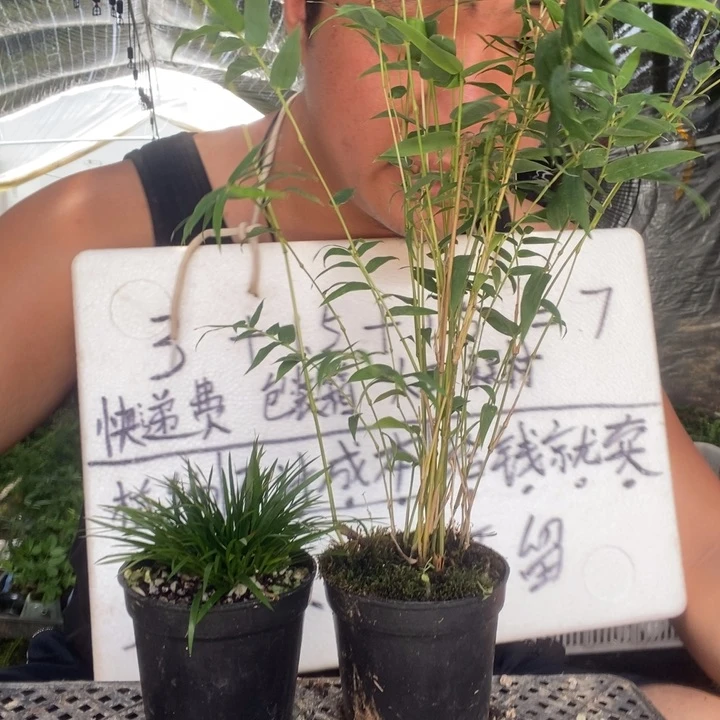 退款拉黑一物一拍52